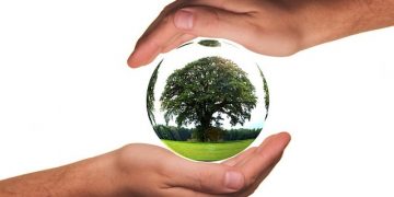 ტესტი – რამდენად ხართ გარემოს დამცველი და რა იცით ეკოლოგიაზე?