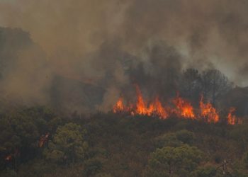 ესპანეთის სამხრეთში ხანძრის შედეგად მეხანძრე დაიღუპა