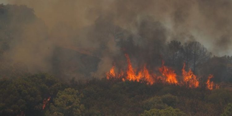 ესპანეთის სამხრეთში ხანძრის შედეგად მეხანძრე დაიღუპა
