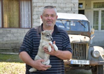 მესაქონლეობის ნახევარსაუკუნოვანი ისტორია – ვალერიან პუხლოვის გზა ოჯახური მეურნეობიდან ბიზნესამდე