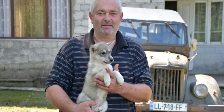 მესაქონლეობის ნახევარსაუკუნოვანი ისტორია – ვალერიან პუხლოვის გზა ოჯახური მეურნეობიდან ბიზნესამდე