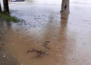 ძლიერი წვიმის შედეგად ლანჩხუთის სოფლები დაიტბორა