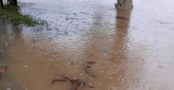 ძლიერი წვიმის შედეგად ლანჩხუთის სოფლები დაიტბორა