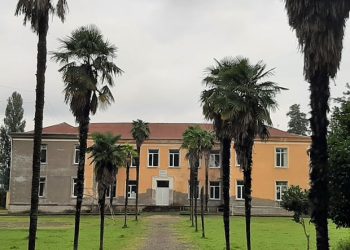 რა განწყობები აქვთ მოსახლეობას წინასაარჩევნოდ მელექედურში