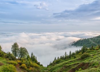 ტესტი – გამოდგებით თუ არა გიდად გურიაში?