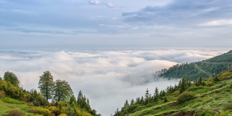 ტესტი – გამოდგებით თუ არა გიდად გურიაში?