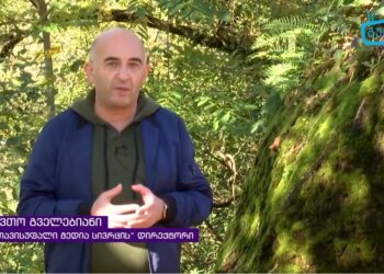 "აღმოაჩინე გურია" – "თავისუფალი მედია სივრცის" პროექტი