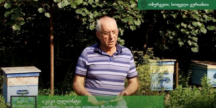 რა პრობლემებისა და გამოწვევების წინაშე დგანან გურული ფერმერები