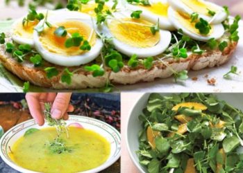 როგორ უნდა ვიკვებოთ ზამთარში და რომელი პროდუქტები დაგიცავთ ვირუსებისგან?