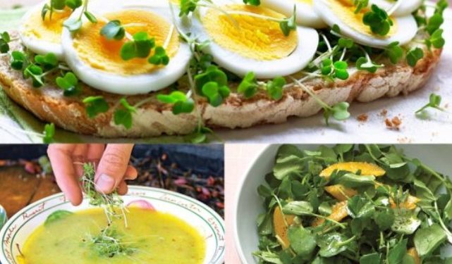 როგორ უნდა ვიკვებოთ ზამთარში და რომელი პროდუქტები დაგიცავთ ვირუსებისგან?