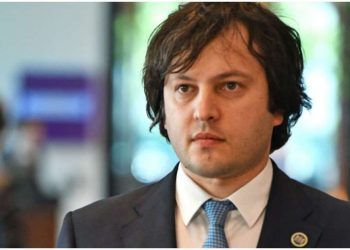 კობახიძე – დამანაშავე უნდა დაისაჯოს, მძიმე ქმედებას, რაც დმანისში ვიხილეთ, არავითარი გამართლება არ აქვს