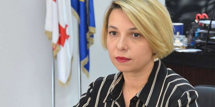 გამოჟონილი დოკუმენტების მოცულობამ შოკში ჩამაგდო – ნინო ლომჯარია