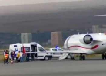 კიევიდან თბილისში მეგის ქარდავას ექსტრადირება განხორციელდა