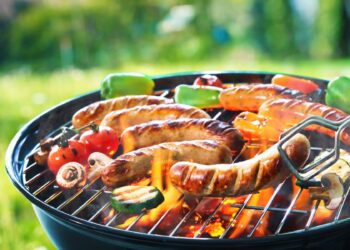 პიკნიკი და გრილი – პრაქტიკული რჩევები მათთვის, ვინ ტყეში გასვლას აპირებს