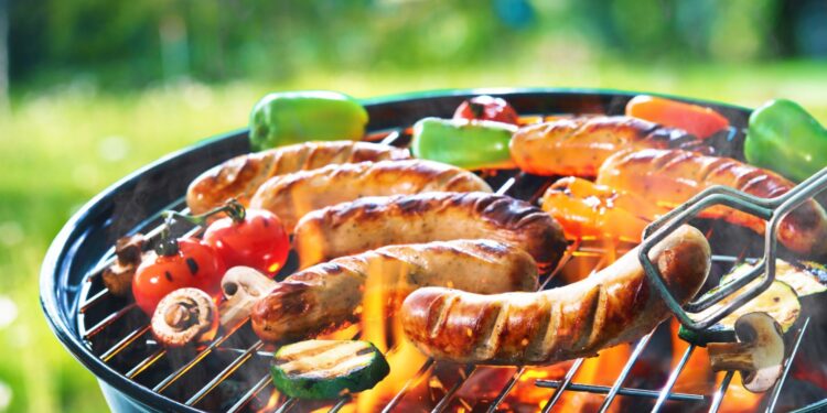 პიკნიკი და გრილი – პრაქტიკული რჩევები მათთვის, ვინ ტყეში გასვლას აპირებს