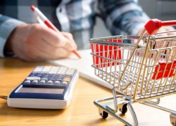 საარსებო მინიმუმი რეკორდულ – 221 ლარამდე გაიზარდა