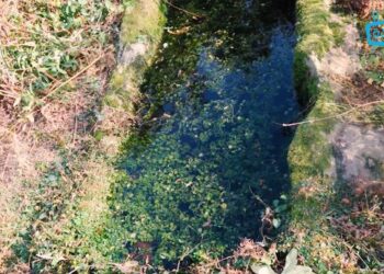 მეღვინეობის და მევენახეობის ისტორია გურიაში – “ეპიზოდები გურიიდან” – სეზონი II, ეპიზოდი XXII