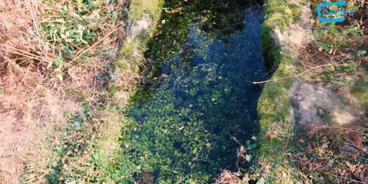 მეღვინეობის და მევენახეობის ისტორია გურიაში – “ეპიზოდები გურიიდან” – სეზონი II, ეპიზოდი XXII