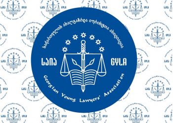 საია საკონსტიტუციო სასამართლოში თვითმმართველობის არჩევნებისთვის დადგენილი მაჟორიტარული ოლქების საზღვრების არაკონსტიტუციურად ცნობას ითხოვს