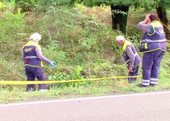 ვიდეო – მეათე კლასის მოსწავლე ემსხვერპლა ავტოავარიას ოზურგეთი – ჩოხატაურის გზაზე