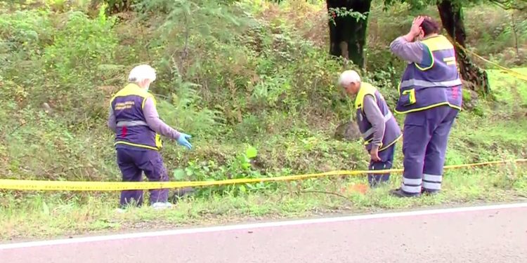 ვიდეო – მეათე კლასის მოსწავლე ემსხვერპლა ავტოავარიას ოზურგეთი – ჩოხატაურის გზაზე