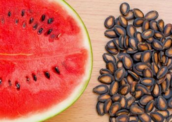 საზამთროს კურკების სასარგებლო თვისებები