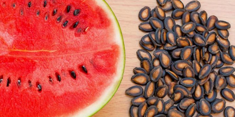 საზამთროს კურკების სასარგებლო თვისებები