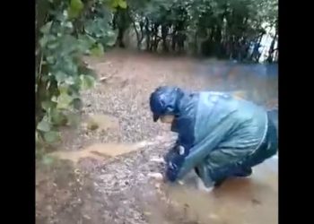 ვიდეო – “მთლიანი სათხილე, რაც კი გვქონდა ყველაფერი წაგვართვა” – სტიქია ჭანიეთში