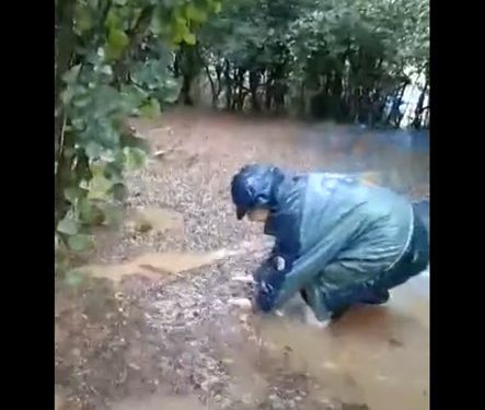 ვიდეო – “მთლიანი სათხილე, რაც კი გვქონდა ყველაფერი წაგვართვა” – სტიქია ჭანიეთში