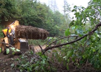 გურიაში ძლიერი ნალექის შედეგად დაზარალებულ მოსახლეობას საქართველოს მთავრობა დაეხმარება