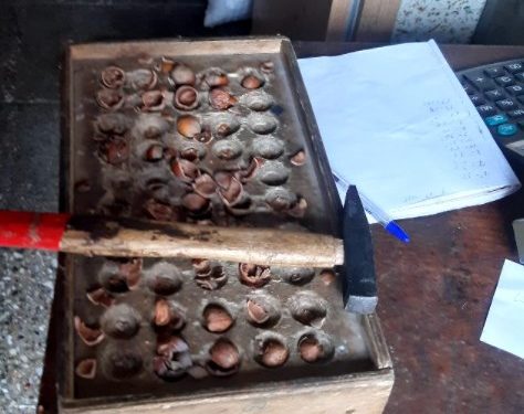 ცუდი ხარისხი და დაბალი ფასები – რა ღირს თხილი ოზურგეთში