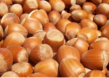 ქართული თხილის 80% დაკრეფილია – ფერმერები პროდუქტზე ფასების ზრდას ელოდებიან