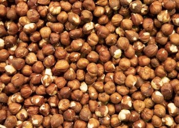 ქართული თხილის ადგილი მსოფლიოში – თხილის რიგით მერამდენე მწარმოებელია საქართველო