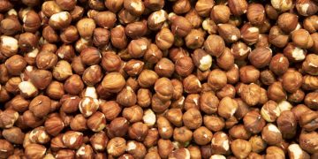 ქართული თხილის ადგილი მსოფლიოში – თხილის რიგით მერამდენე მწარმოებელია საქართველო