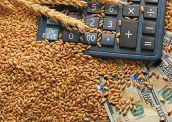 ,,ხორბლის ფასმა ფსიქოლოგიური ნიშნული, 300 დოლარი უკვე გადალახა“- როდის აისახება ტენდენცია ქართულ ბაზარზე