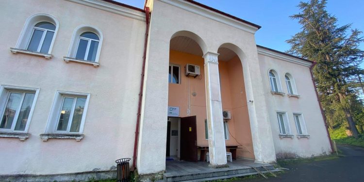 ამომრჩეველთა აქტივობა N60 საოლქოში-12 საათის მონაცემები