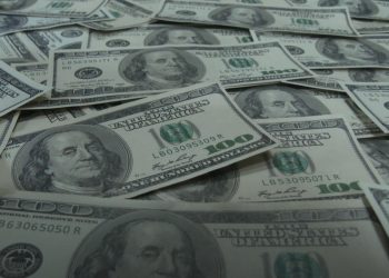 დიდი ოდენობით ყალბი ფულის გასაღების ფაქტზე ერთი პირი დააკავეს