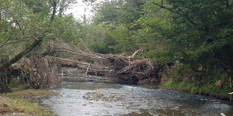 გურიანთაში მოსახლეობა სტიქიის შედეგების აღმოფხვრას დღემდე ითხოვს
