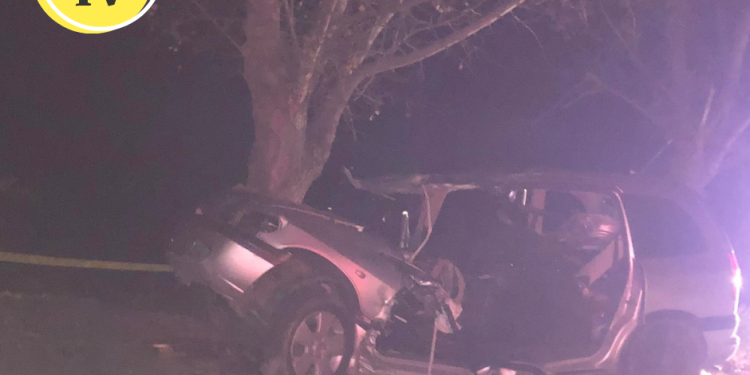 ერთი ადამიანი ემსხვერპლა ავარიას ადიგენში