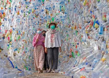 107 000-მდე ამერიკელი კვდება წელიწადში ფტალატებთან შეხების გამო