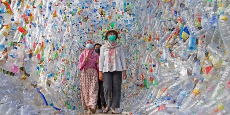 107 000-მდე ამერიკელი კვდება წელიწადში ფტალატებთან შეხების გამო