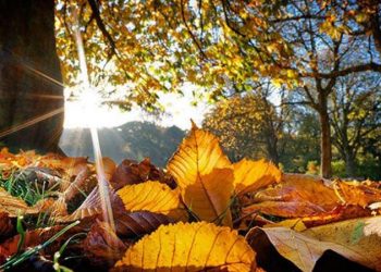 როგორი ამინდი იქნება საქართველოში 1 ნოემბრიდან