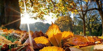 როგორი ამინდი იქნება საქართველოში 1 ნოემბრიდან