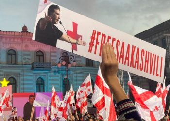 ევროპარლამენტარები: სანამ სტრასბურგი სააკაშვილის საქმეს განიხილავს, ის უნდა გათავისუფლდეს