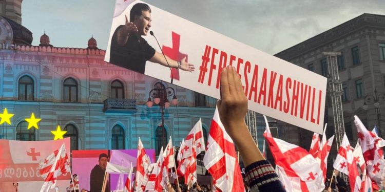 ევროპარლამენტარები: სანამ სტრასბურგი სააკაშვილის საქმეს განიხილავს, ის უნდა გათავისუფლდეს