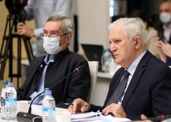 სხვადასხვა დაწესებულებაში „მწვანე პასპორტის“ სავალდებულოობა განიხილება – გამყრელიძე