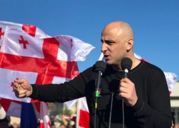 ნიკა მელიას სადეპუტატო უფლებამოსილება შეუწყდა