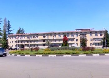 როგორ იმუშავა მერთან არსებულმა მრჩეველთა საბჭომ ოზურგეთში