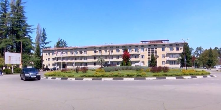 როგორ იმუშავა მერთან არსებულმა მრჩეველთა საბჭომ ოზურგეთში