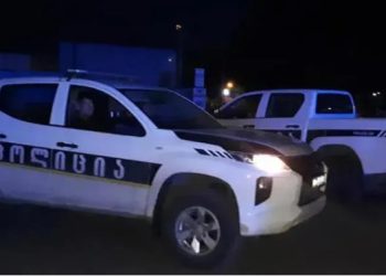 შვილის მკვლელობის ბრალდებით 81 წლის მამაკაცი დააკავეს